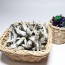 중대멸 / 남해안 삼천포 은빛멸치 다시용 국물멸치 1.5kg