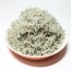 세멸 / 남해안 삼천포 은빛멸치 볶음멸치 지리 250g 500g