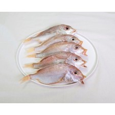삼천포 용궁수산시장 반건조 생선   가정용 상품모음