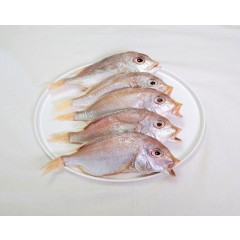 삼천포 용궁수산시장 반건조 생선   가정용 상품모음