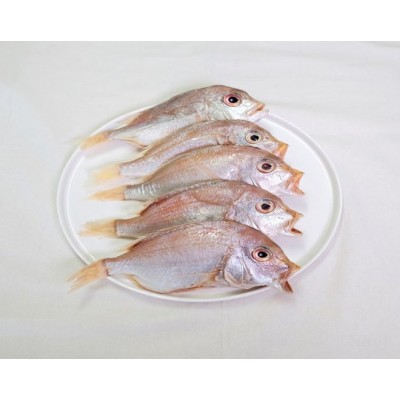 삼천포 용궁수산시장 반건조 생선   가정용 상품모음