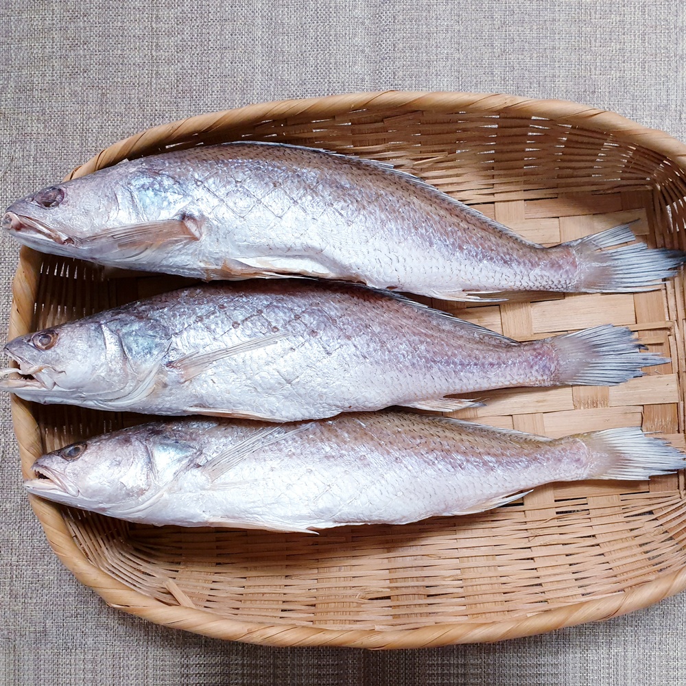 반건조 제수용 / 삼천포 용궁수산시장 반건조생선 제수용 상품모음