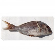 삼천포 용궁수산시장 반건조생선 제수용 상품모음