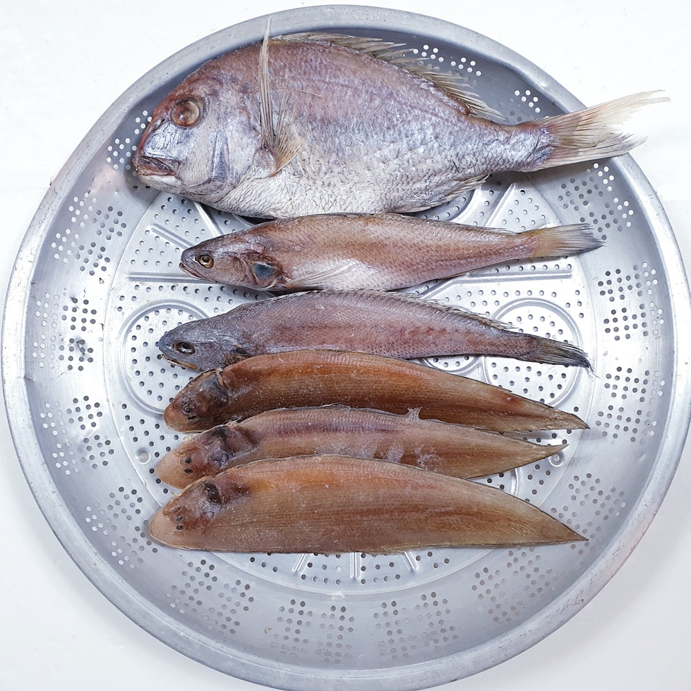 반건조 제수용 / 삼천포 용궁수산시장 반건조생선 제수용 세트상품 모음