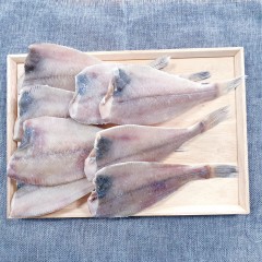 삼천포 용궁수산시장 국내산 반건조 생선/ 참가자미(3~6미)/자두가자미(5미이상)/알배기가자미 (3~8미)