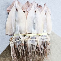 마른오징어/동해안 자연산 건오징어 2미(170g 내외)