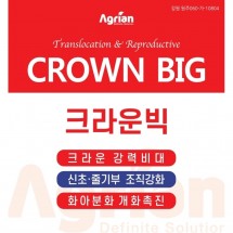크라운빅 5L