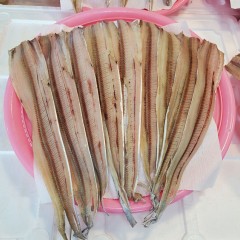갈치 / 삼천포 용궁수산시장 반건조 생선 갈치 7~12미
