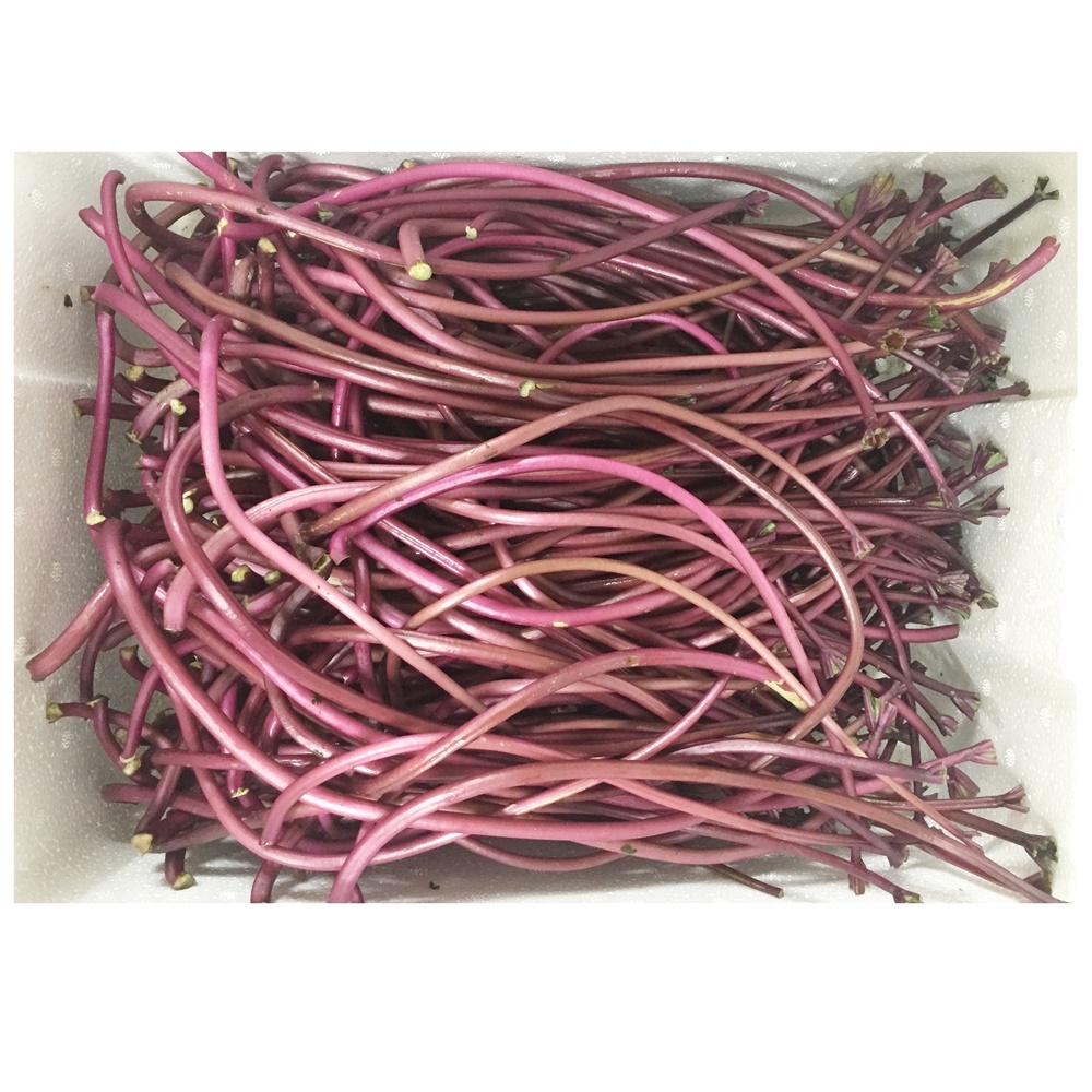 고구마줄기 / 생고구마순 - 해풍맞고 자란 싱싱하고 아삭한 삼천포 고구마줄기 잎제거 1/2kg 홍대