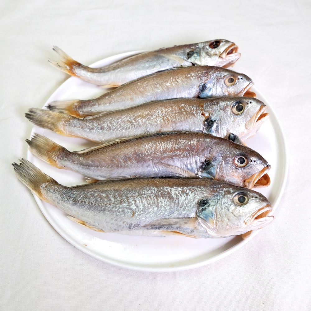삼천포 용궁수산시장 반건조 생선(소) -꽃돔/볼락/백조기/자두가자미 만원의행복