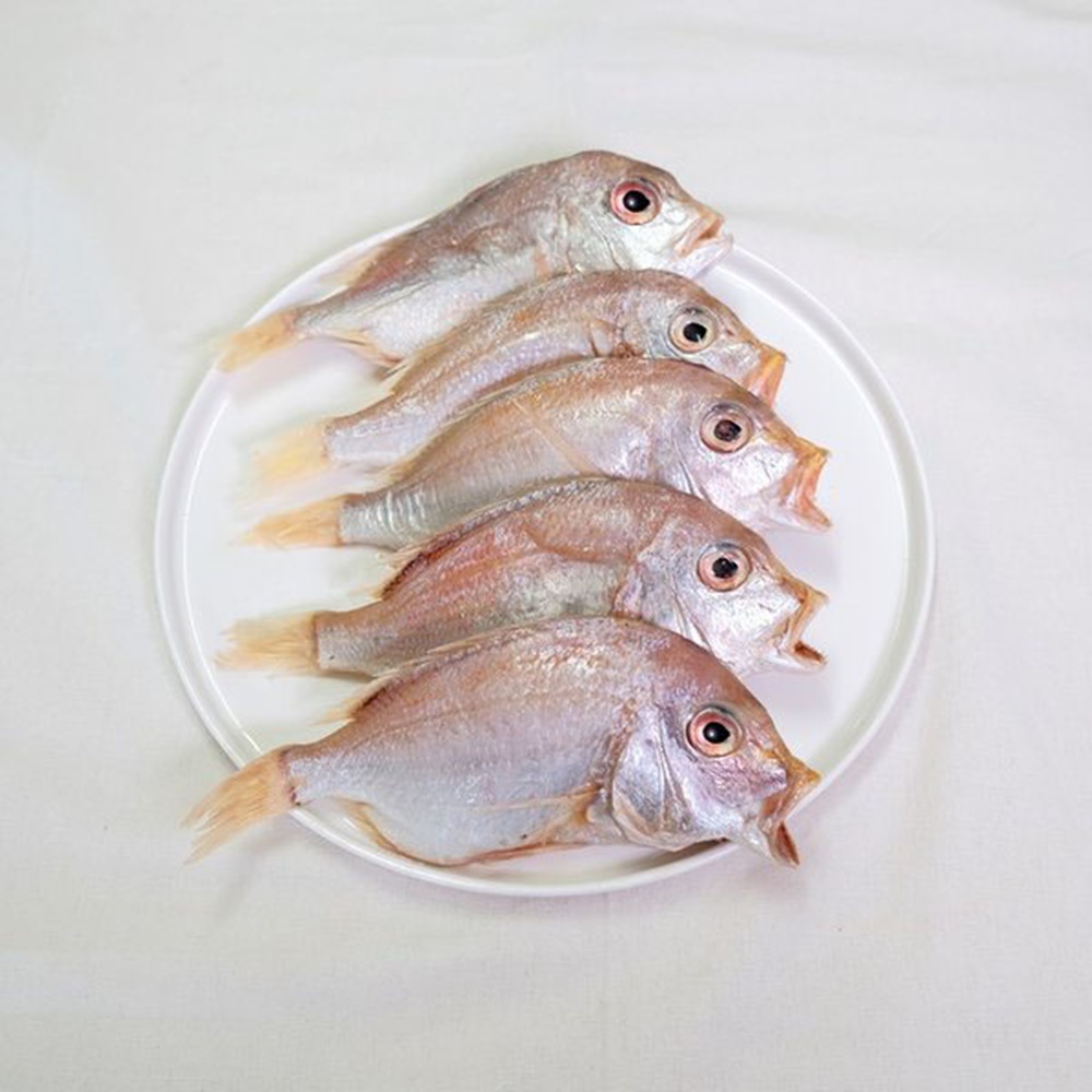 삼천포 용궁수산시장 반건조 생선(소) -꽃돔/볼락/백조기/자두가자미 만원의행복