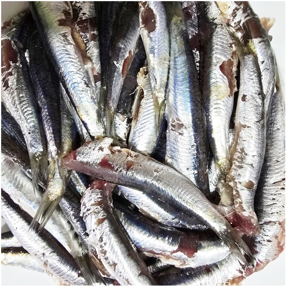 남해안 삼천포 신선 손질 생멸치 500g