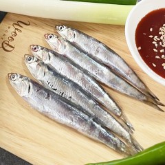 남해안 삼천포 신선 손질 생멸치 500g